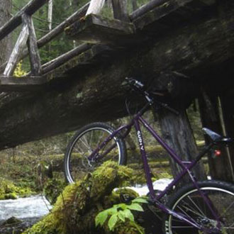 SE BIKES